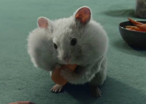 iPhone 17e 卖萌广告：把好东西都轻松装下