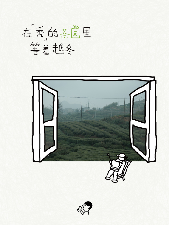 喜茶翻开了守茶人阿姨的茶园日记