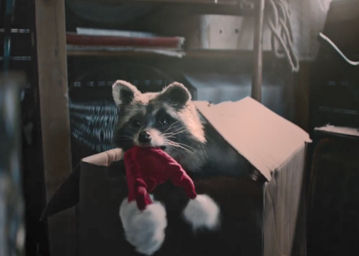 Lidl暖心圣诞广告：小浣熊的爱心大冒险