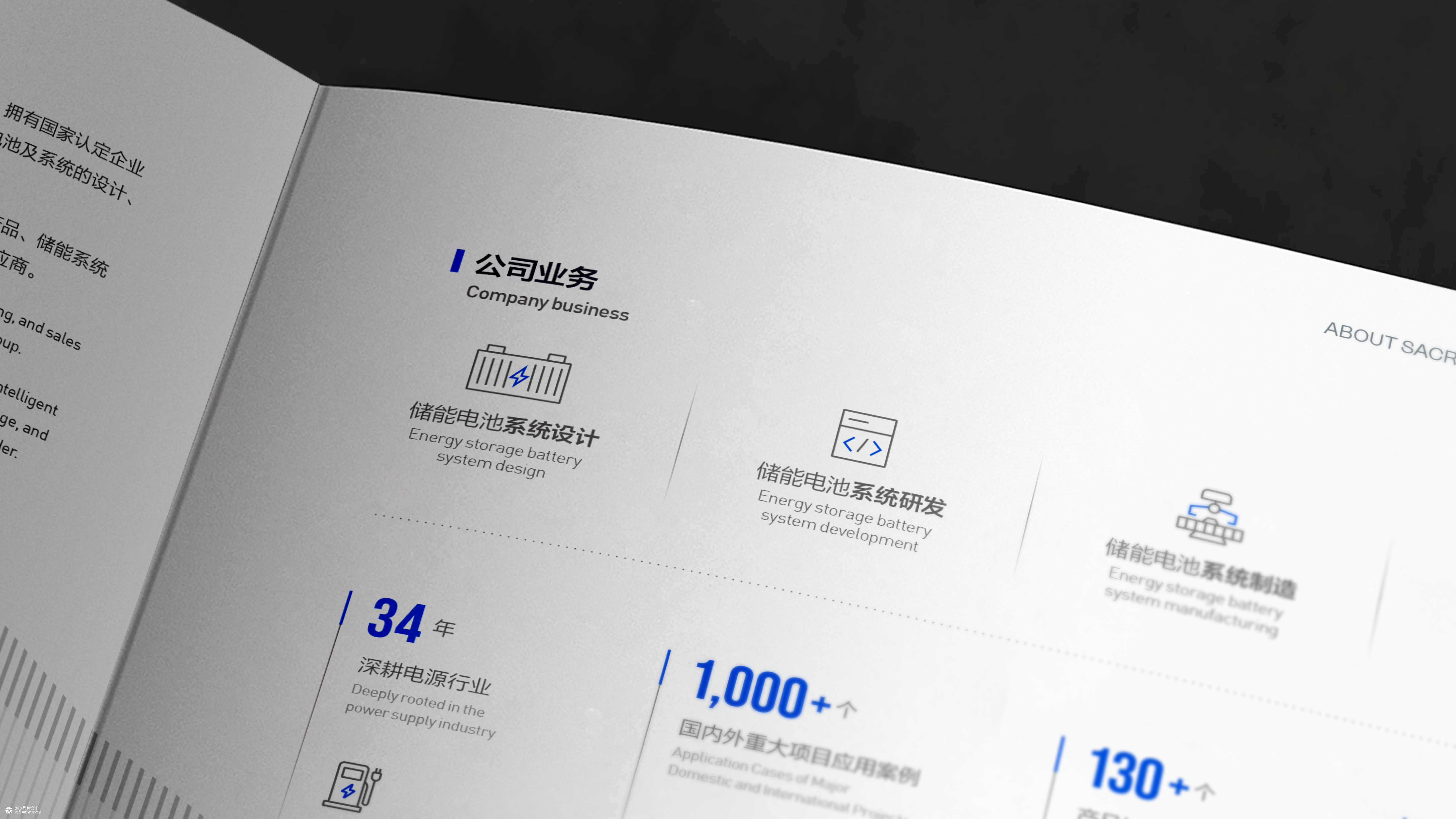 山东发展集团&圣阳股份新能源画册