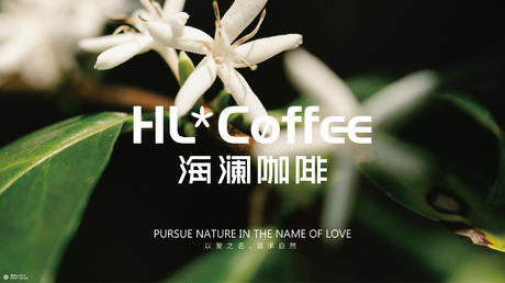 HL*COFFEE海澜咖啡 I 品牌设计