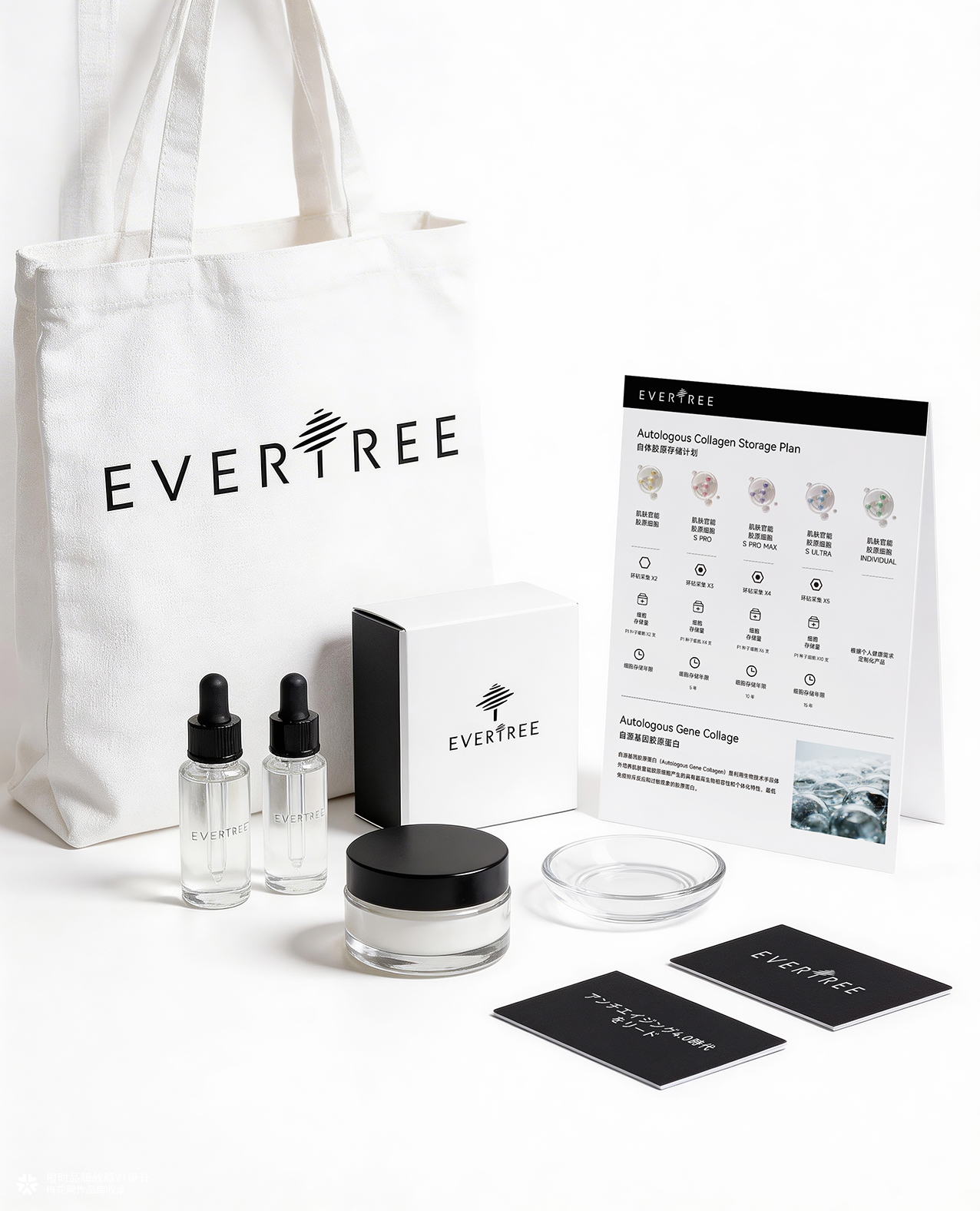 橙时 X 冻零树 | EVERTREE品牌形象设计