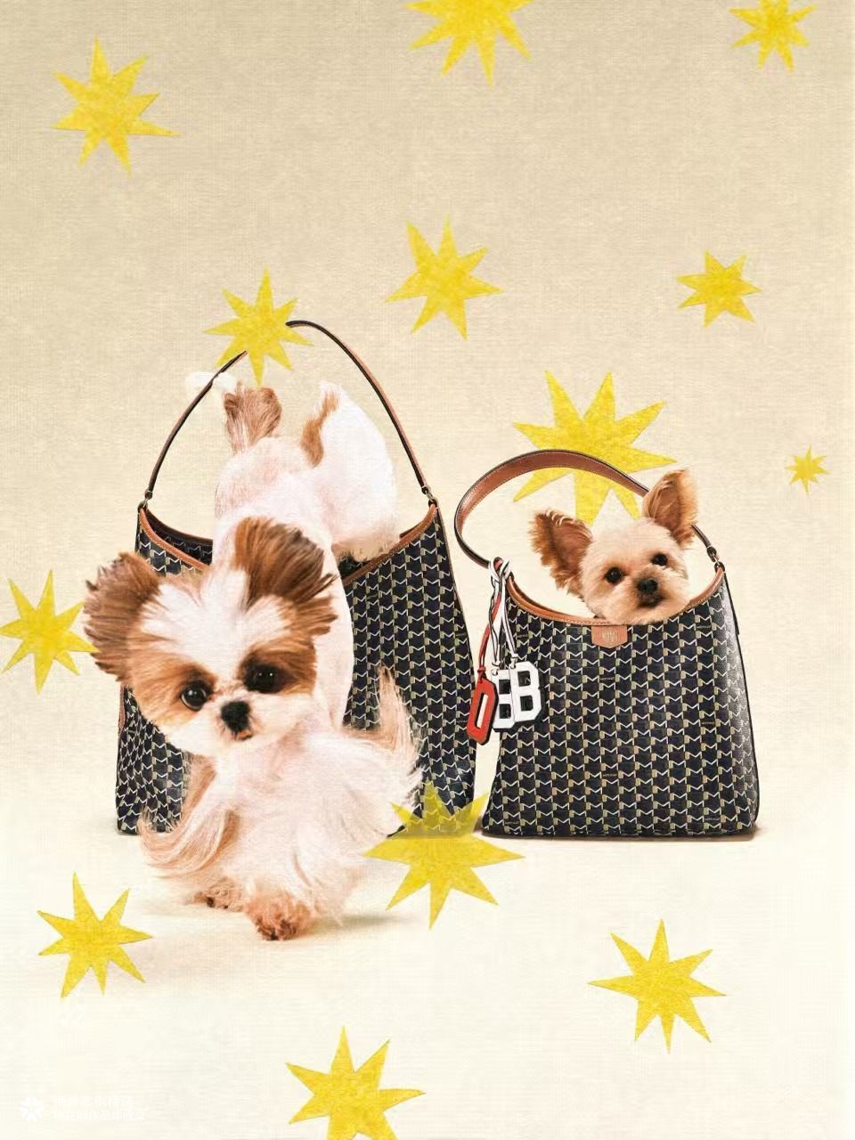 Moynat 520：将宠爱装进包里