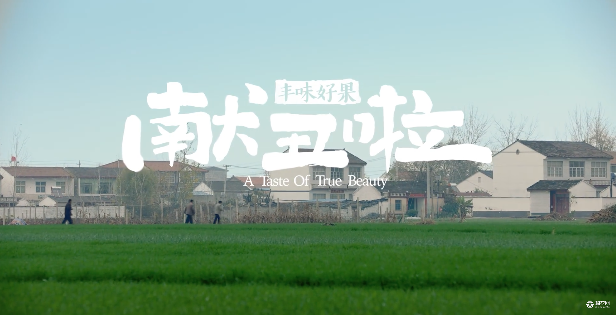 聚划算《献丑啦》上映，丑苹果能否外销成功？