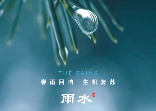 2022年雨水节气海报