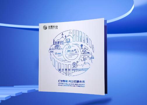 山东发展集团&圣阳股份新能源画册