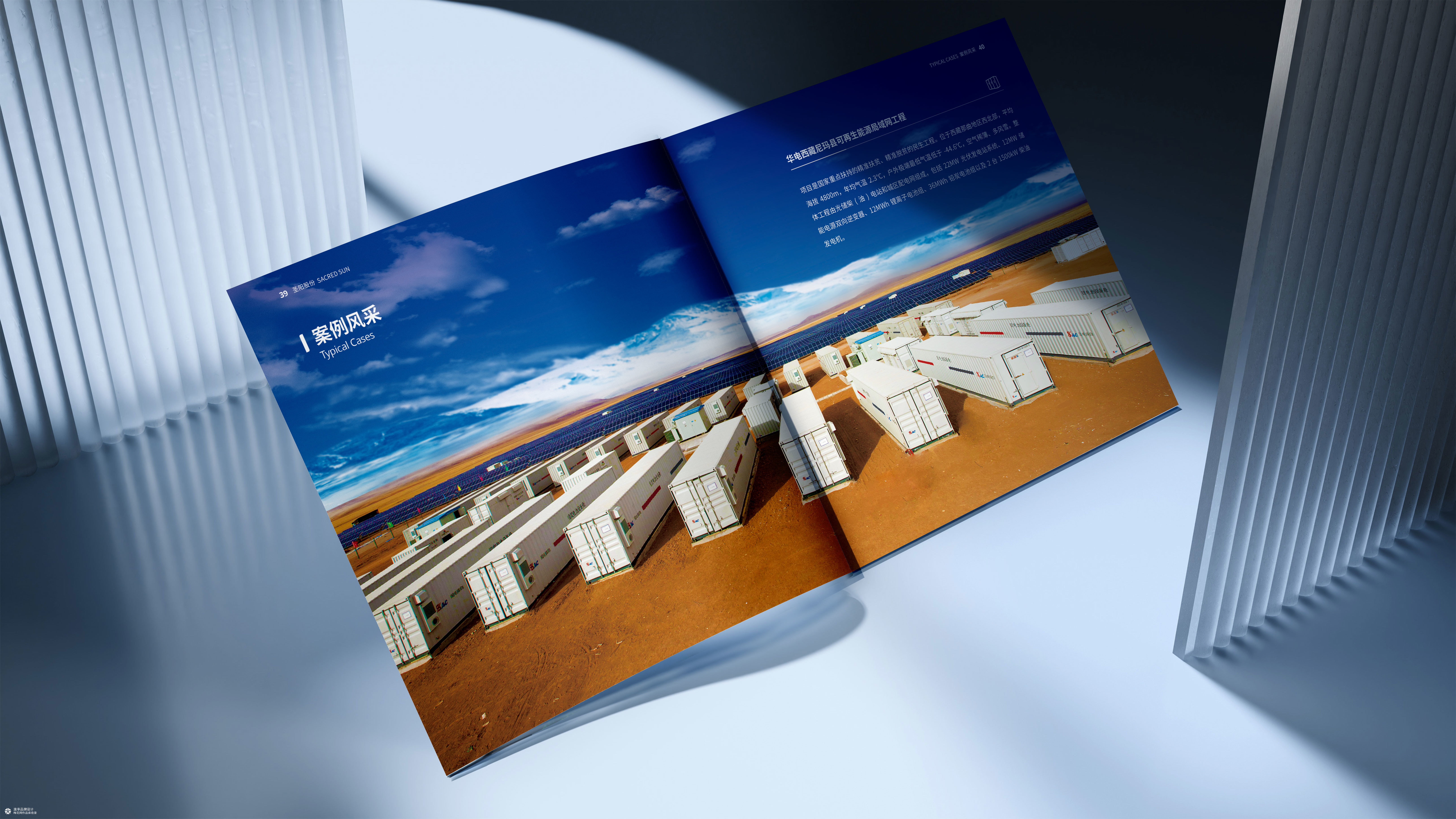 山东发展集团&圣阳股份新能源画册