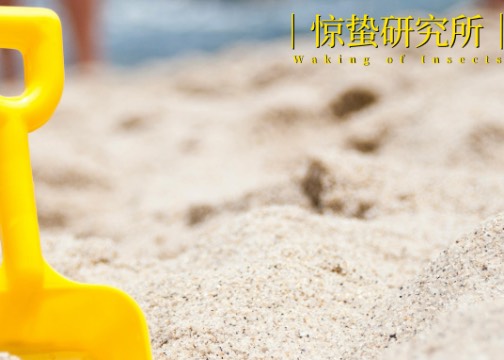 重新养自己，这七种「幼稚经济」俘获年轻人