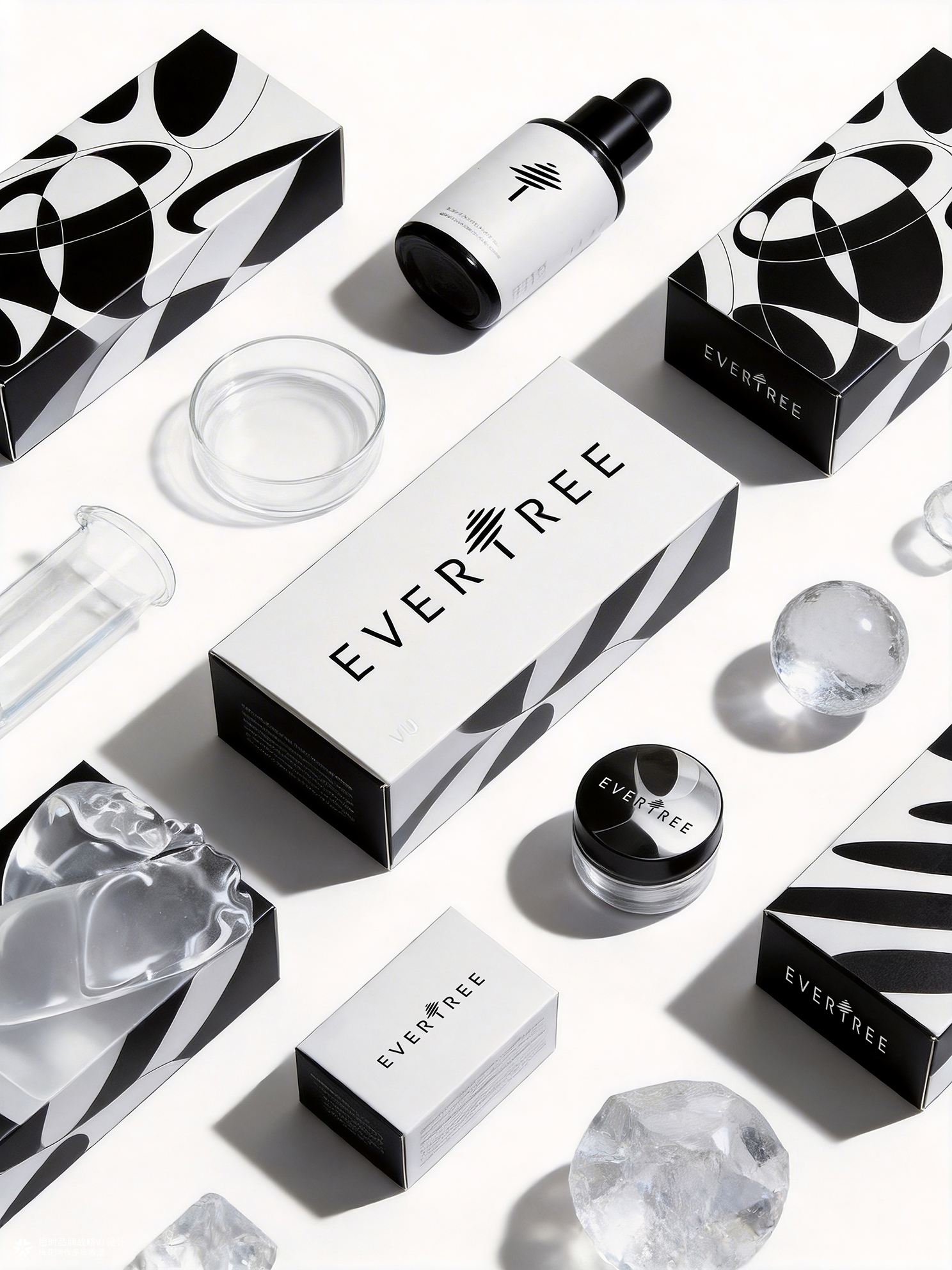 橙时 X 冻零树 | EVERTREE品牌形象设计