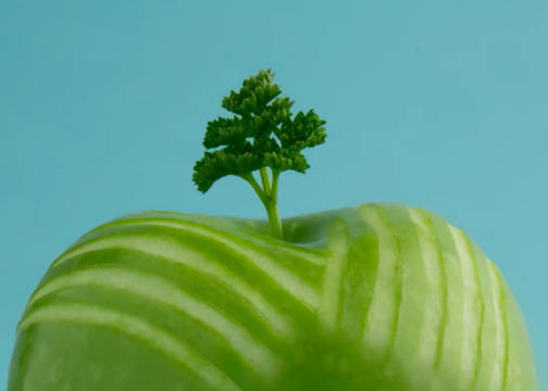 一组运用水果蔬菜造型的创意拍摄