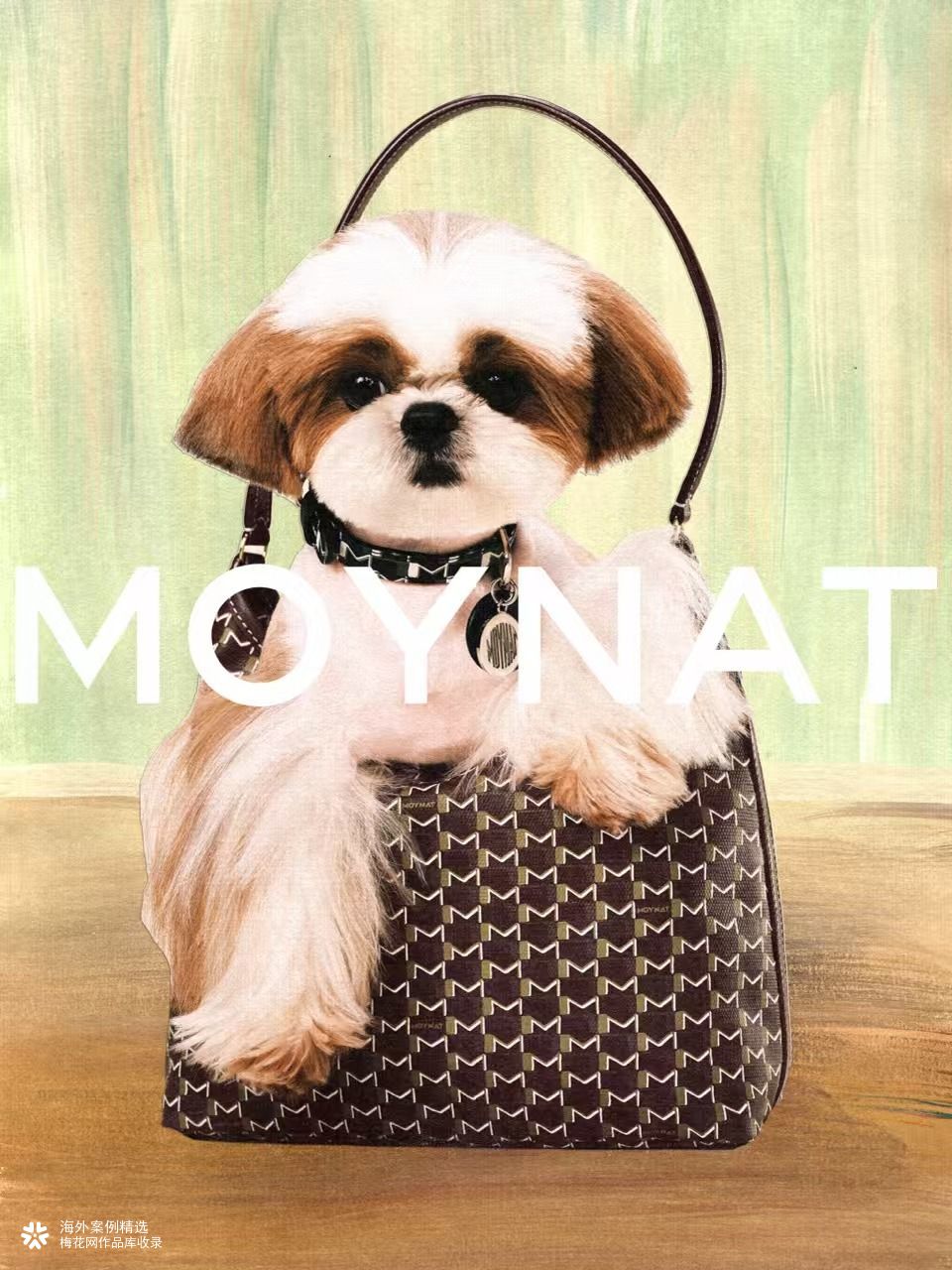 Moynat 520：将宠爱装进包里
