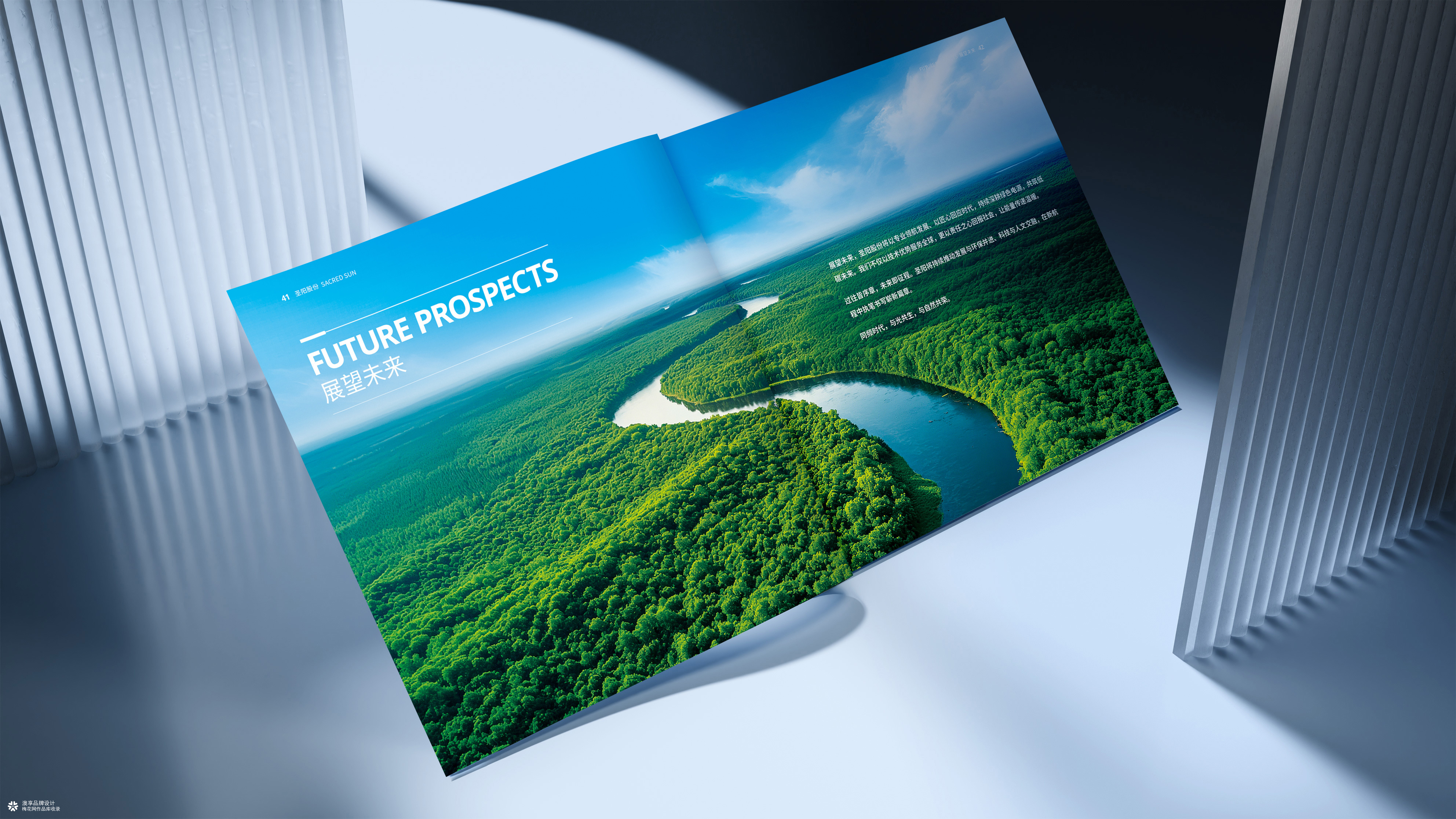 山东发展集团&圣阳股份新能源画册