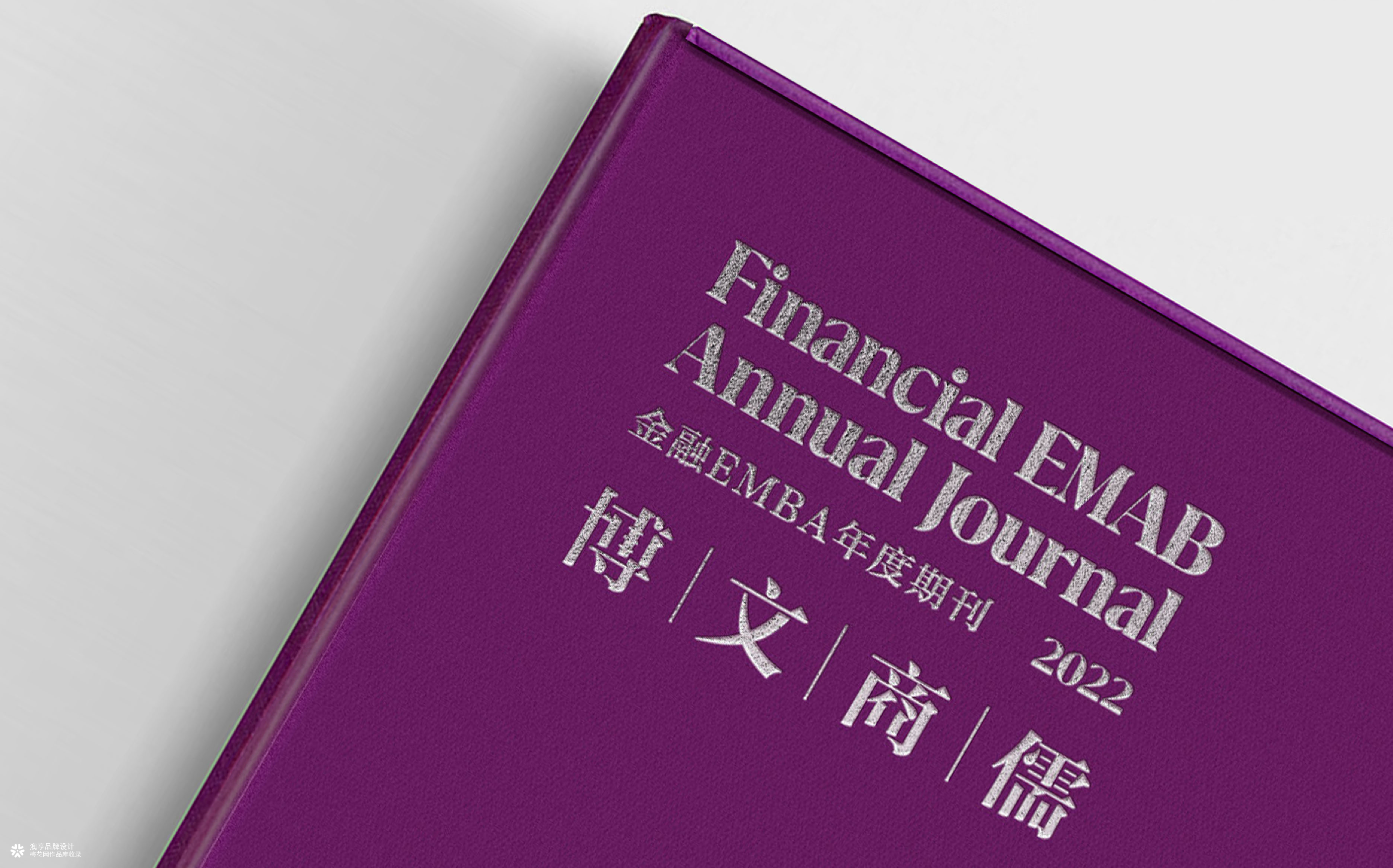 港中深期刊设计