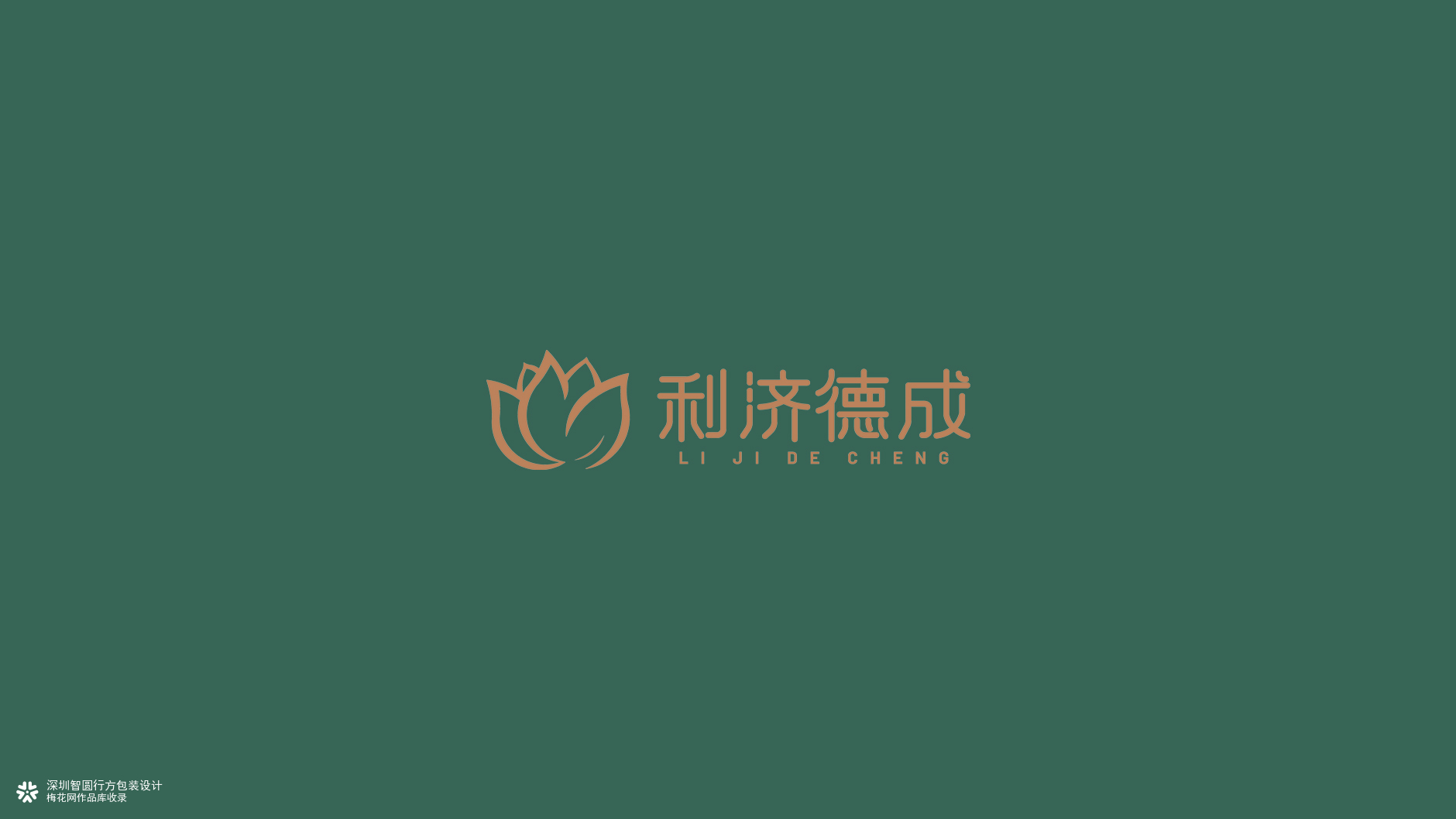 白术人参膏包装设计 滋补保健食品包装设计