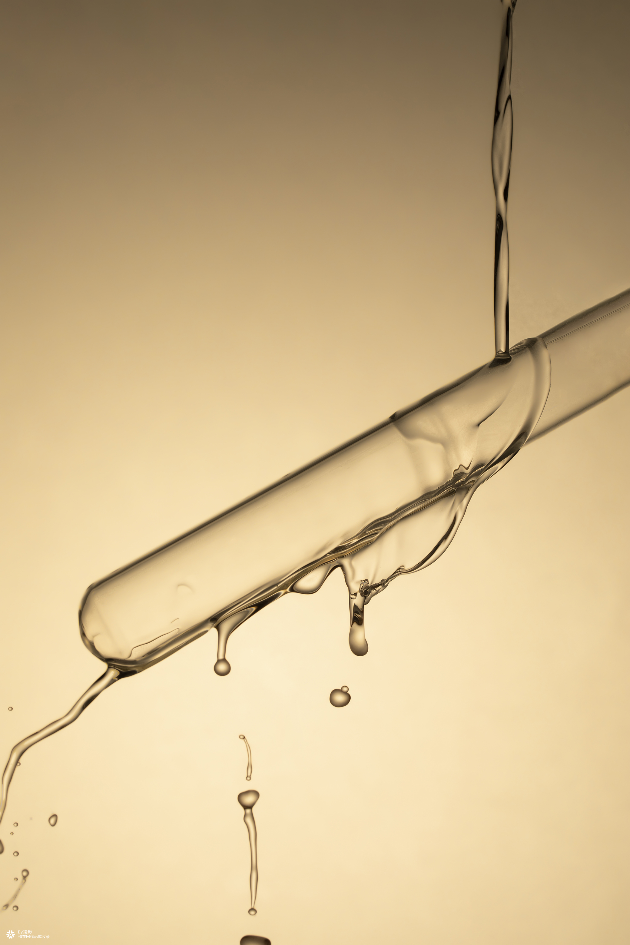 电商图片 | 棕熊医生 | GM