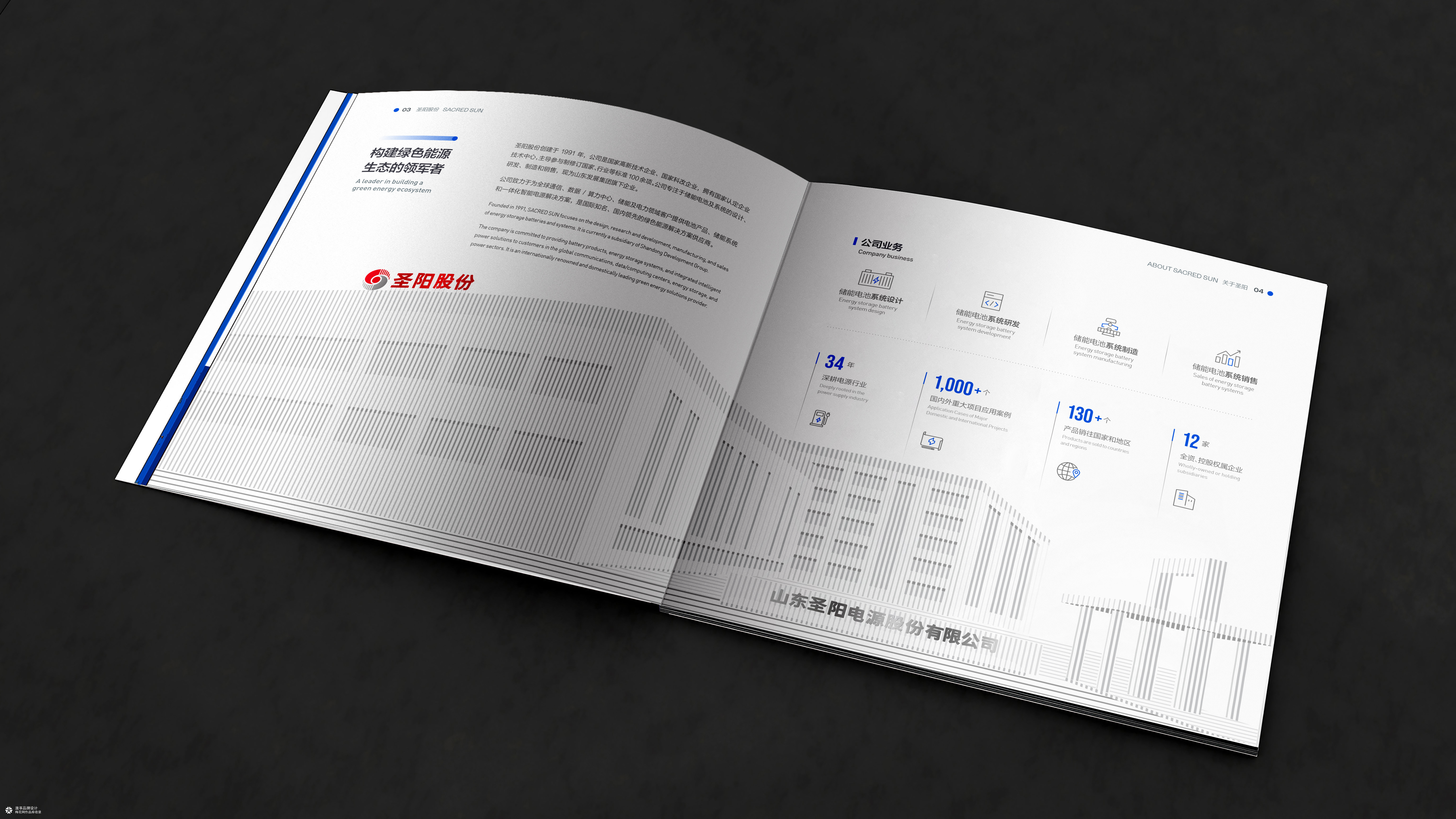 山东发展集团&圣阳股份新能源画册