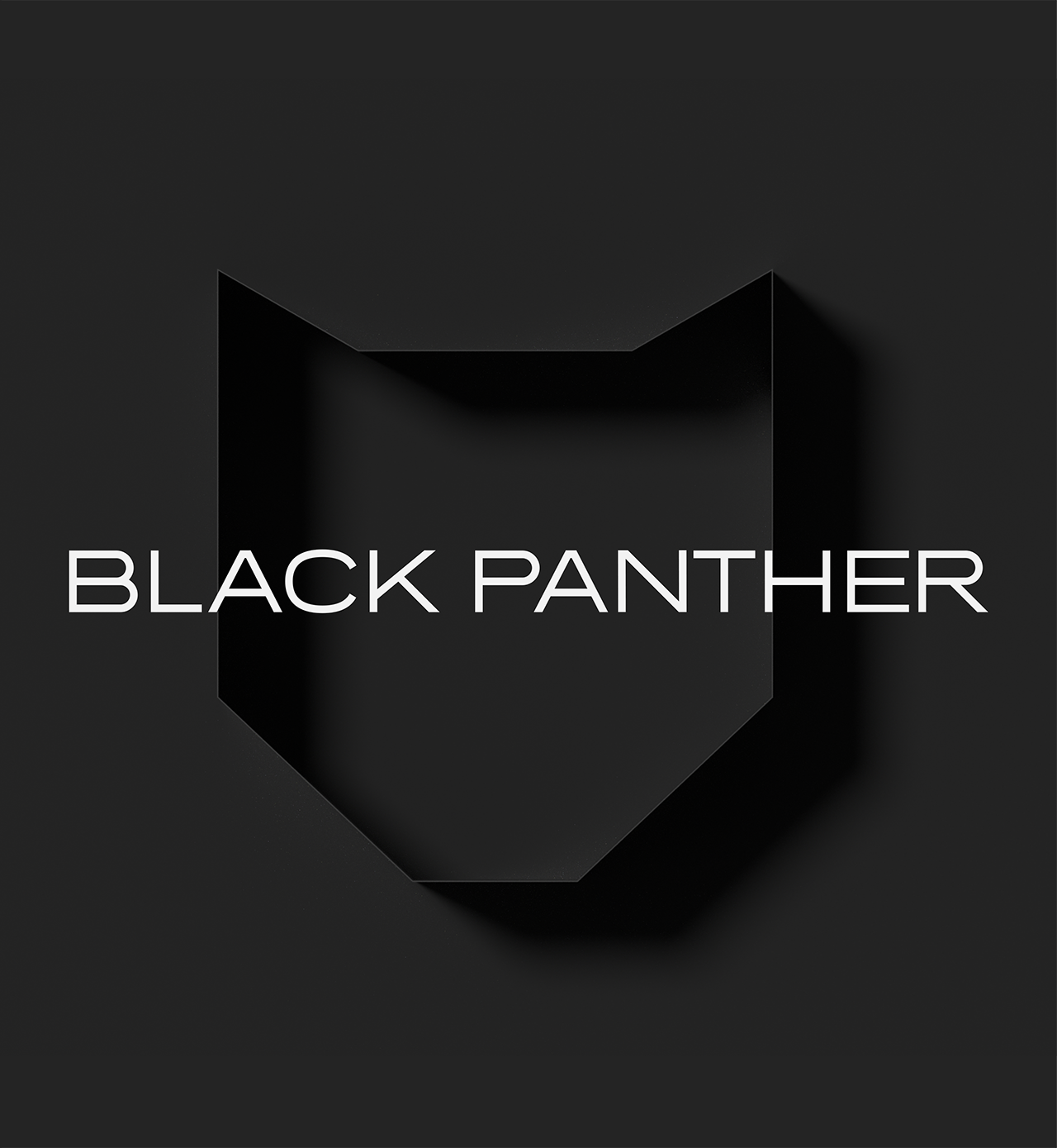 镜识黑豹，吉尼斯认证的全球蕞快机器人来了！