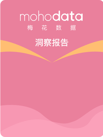 梅花数据2025年3.15晚会案例总结报告