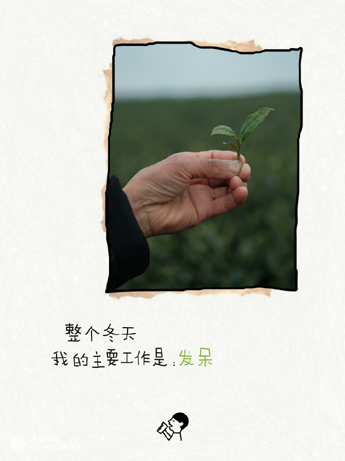 喜茶翻开了守茶人阿姨的茶园日记