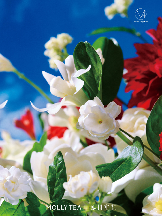 茉莉奶白携手蜷川实花共创漂亮花园