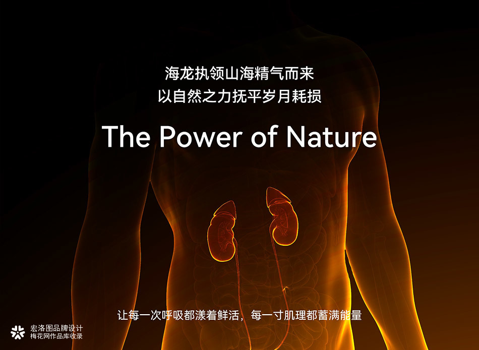 动力仁男士蓝帽保健食品全案｜合规高端滋补包装视觉设计