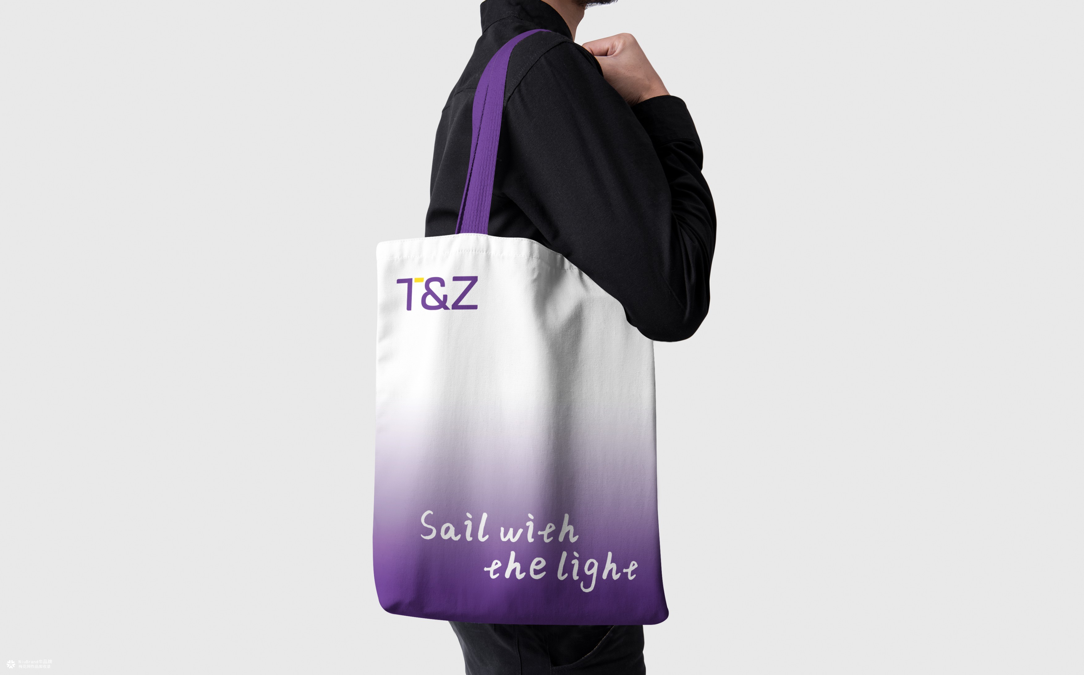 诺亚天泽保险经济品牌形象设计方案