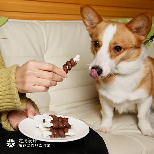 定见案例 |派麻吉 品牌视觉：赋予人格，领先宠物零食行业新高点