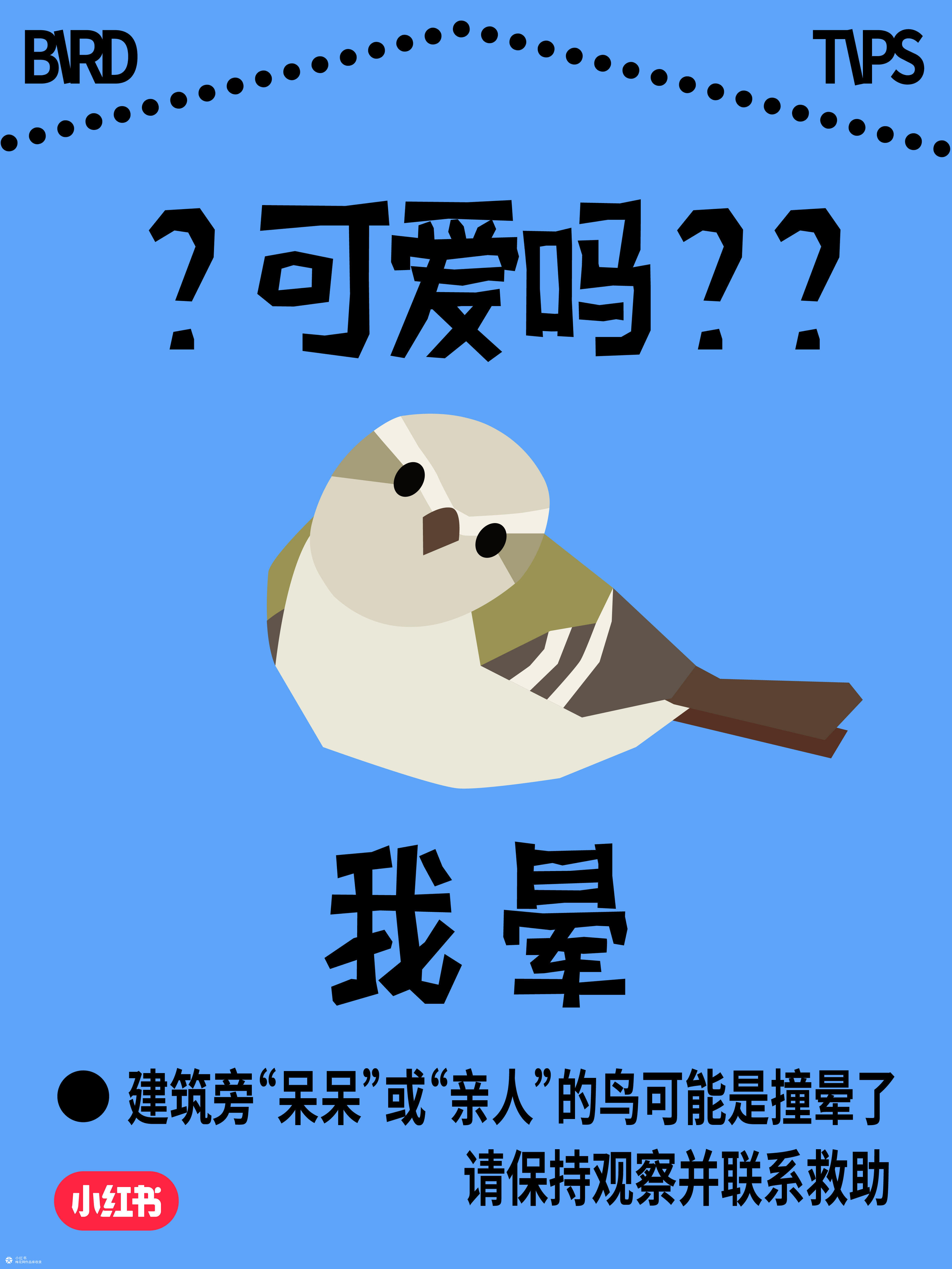 国际爱鸟日：人，小鸟有话对你说