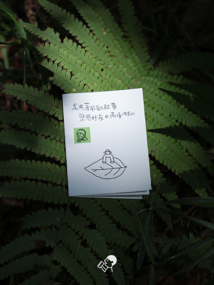 喜茶翻开了守茶人阿姨的茶园日记