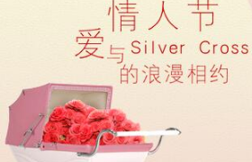 爱与Silver Cross的浪漫 H5