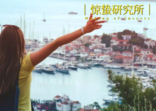 热血青年毕业，旅游业也燃起来了