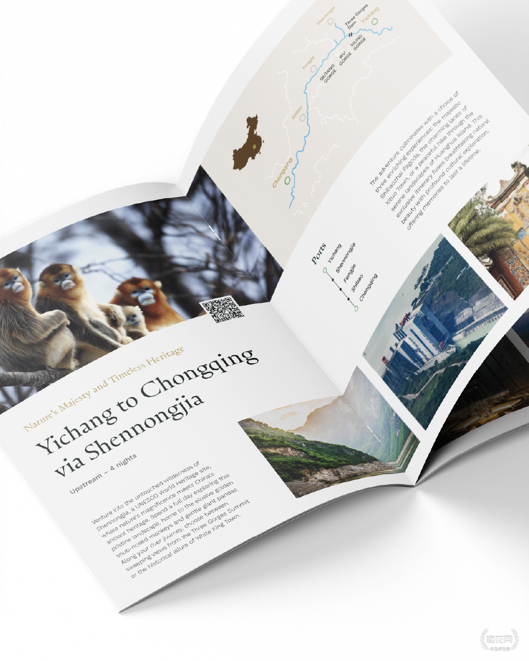 唯吾新作：开启奢华长江之旅的品牌新篇章