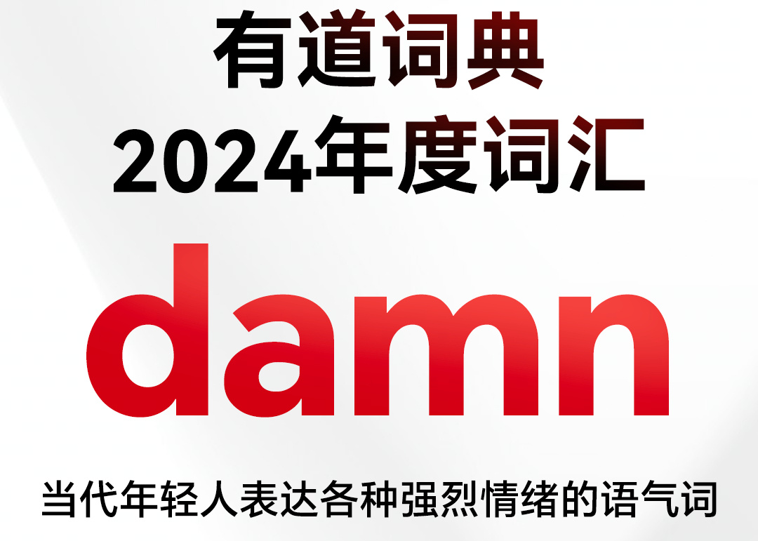 有道词典发布2024年度词汇：damn