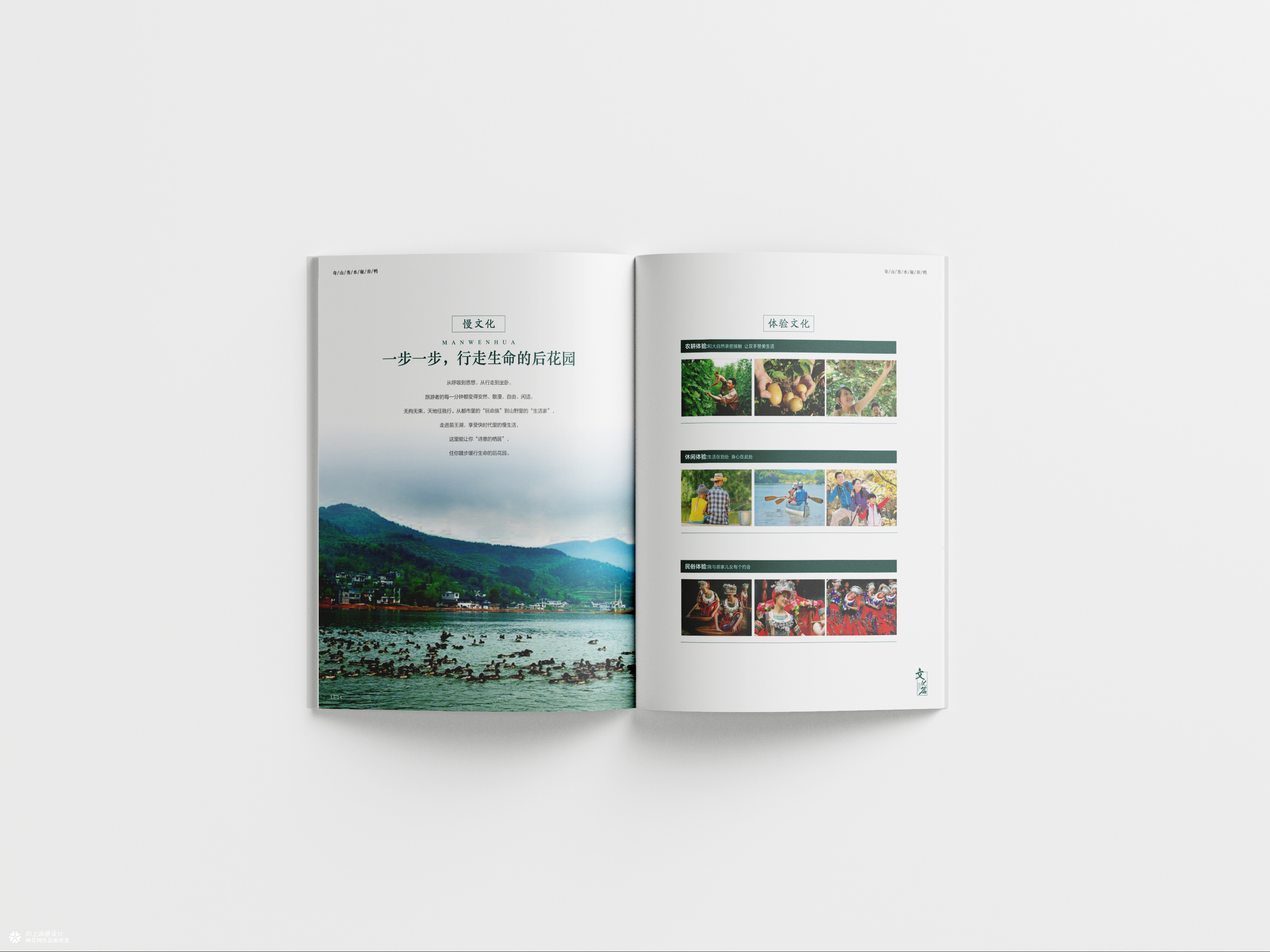 向上画册设计·原创案例｜贵州苗王湖野鸭产品品牌画册
