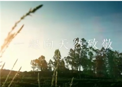 百雀羚《只在北纬30°可见的风景》TVC