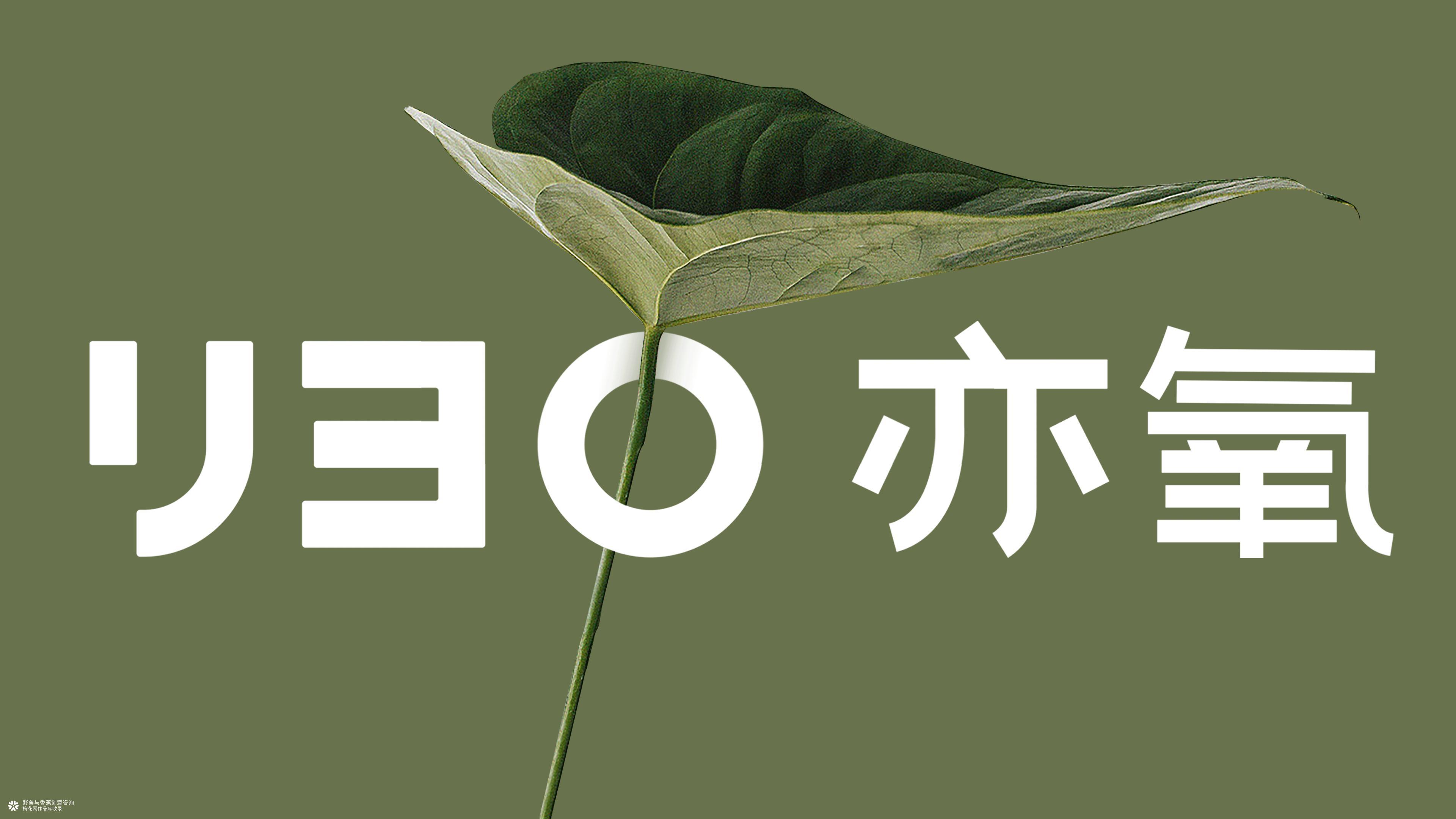 亦氧YEO | 大健康草本雾化品牌策划与设计