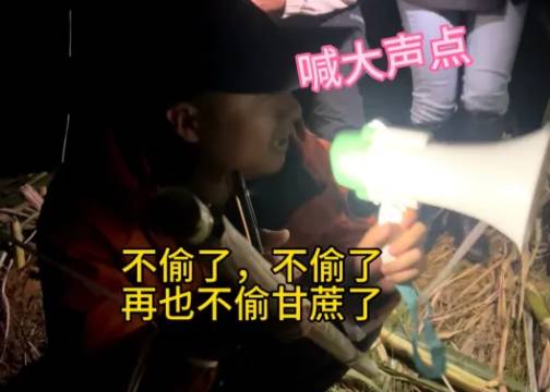 自助“偷甘蔗”爆火，偷菜游戏永不落幕