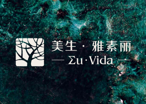 美生雅素丽丨高端瓷砖品牌 VI 设计