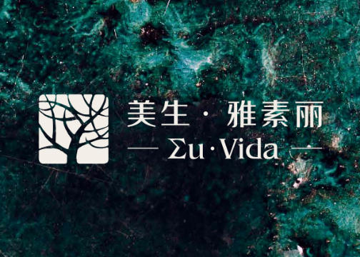 美生雅素丽丨高端瓷砖品牌 VI 设计