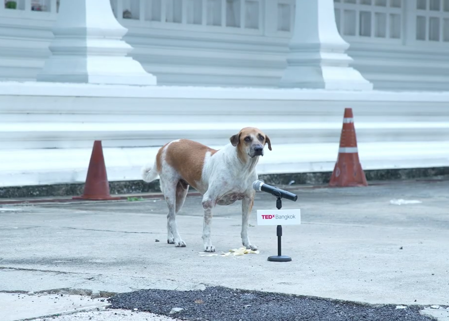 TEDxBangkok 2023宣传片：每一个声音都很重要