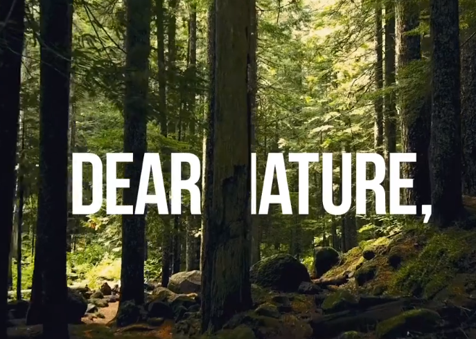 Timberland《给大自然的一封信》：行动起来，才是真正的关心自然