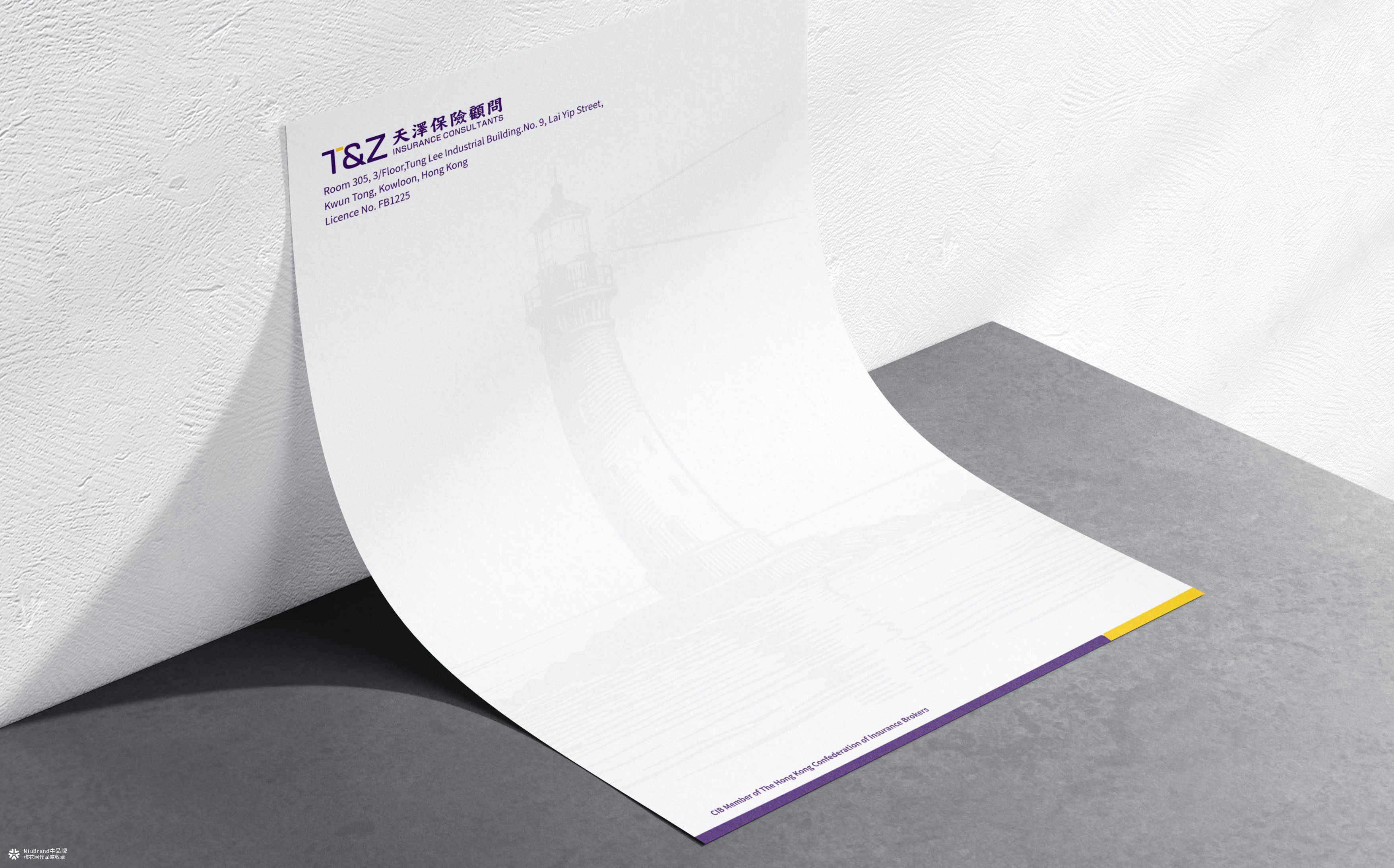 诺亚天泽保险经济品牌形象设计方案