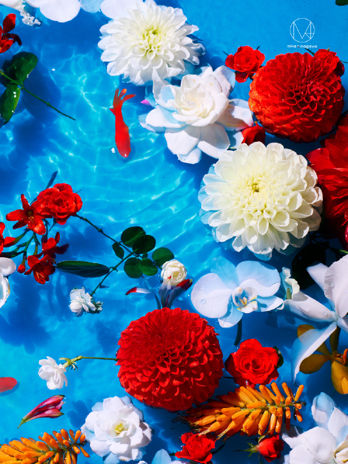 茉莉奶白携手蜷川实花共创漂亮花园