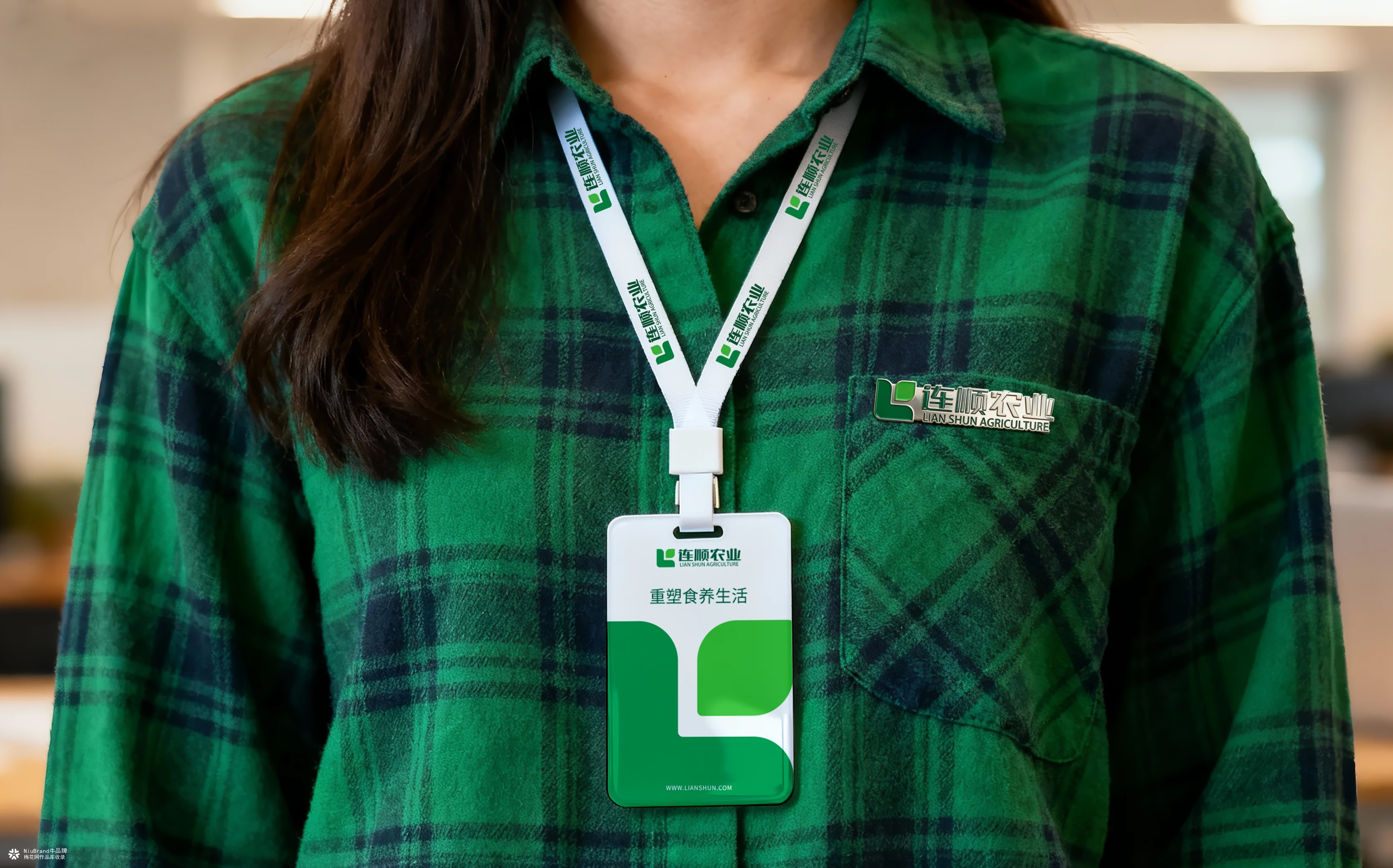 张家口连顺农业品牌形象设计方案