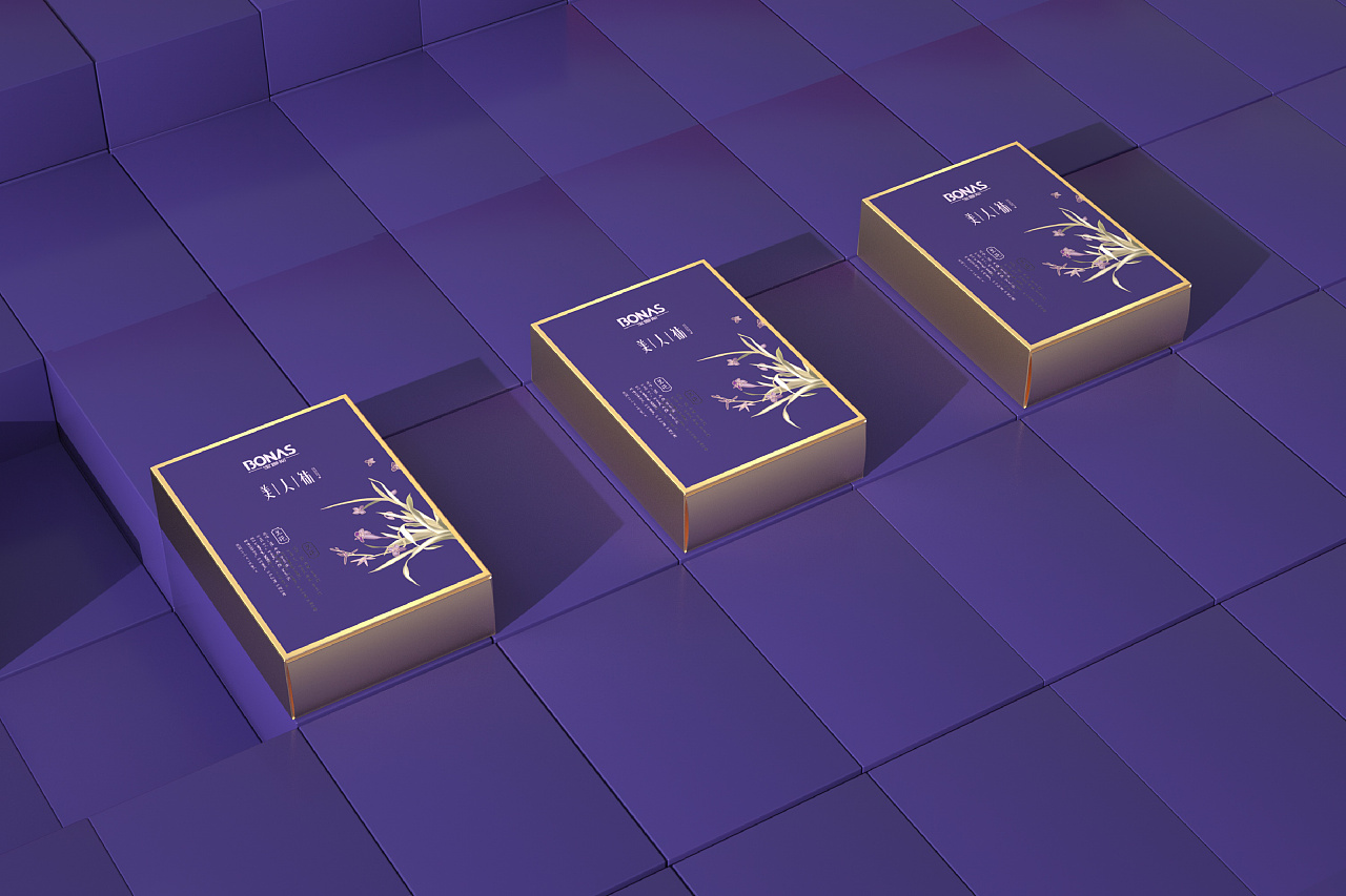内衣包装/精品高档包装设计/包装袋盒子设计