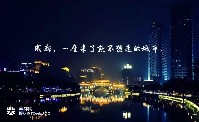 羊群网：疯狂夜行北京城