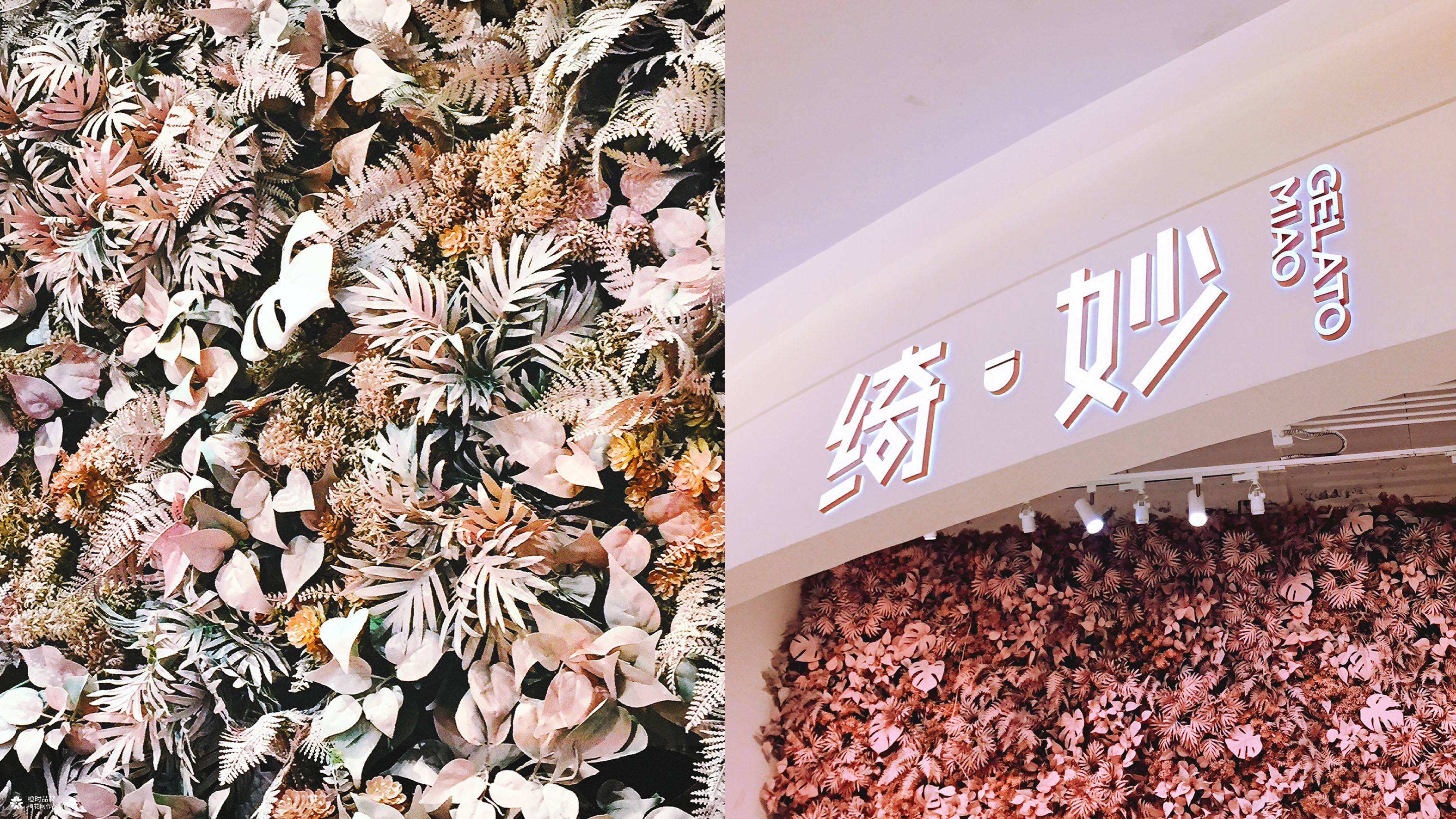 绮妙冰淇淋品牌全案改造升级设计