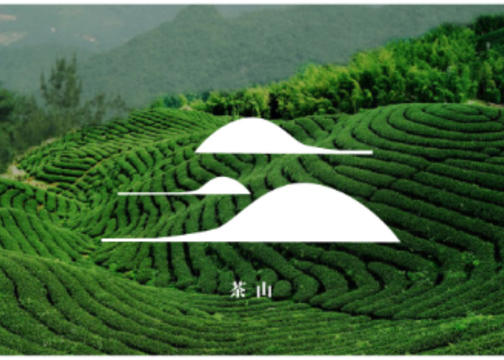 茶叶类品牌视觉VI设计福鼎白茶-懂叶