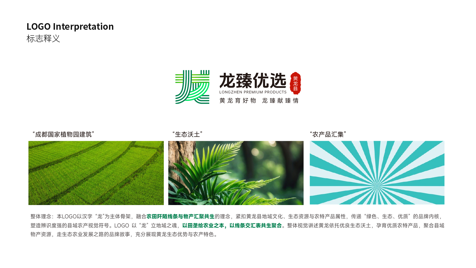 黄土高原林海馈赠｜黄龙县农特产品区域公用品牌全案设计✨