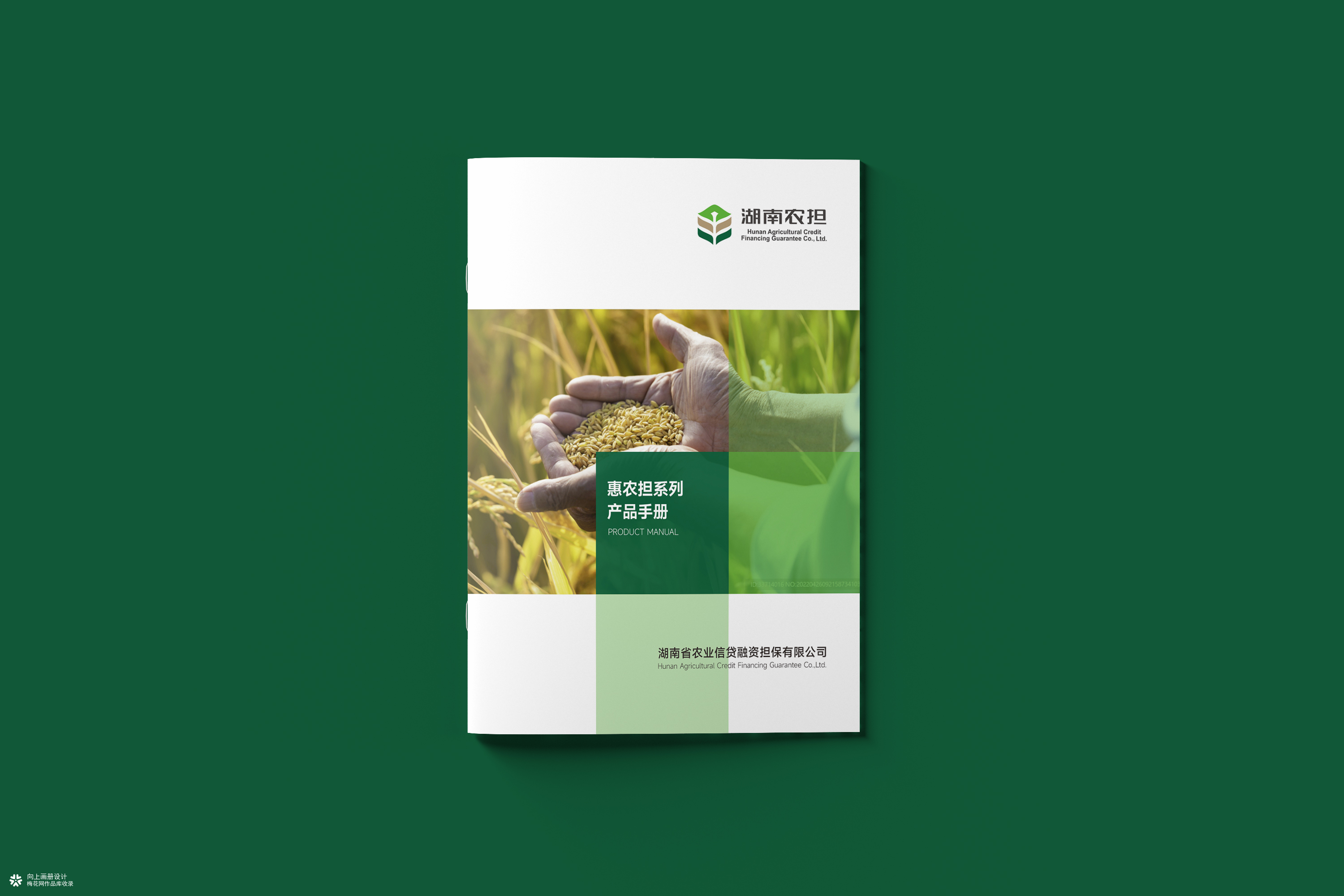 政策性担保公司产品手册复盘：先定身份，再谈视觉